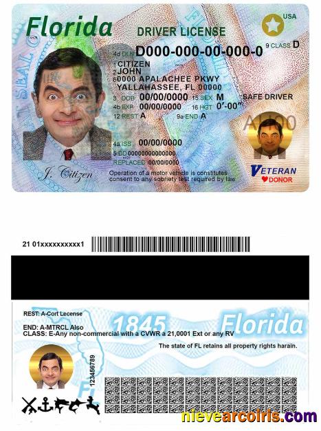 USA Florida driving license
